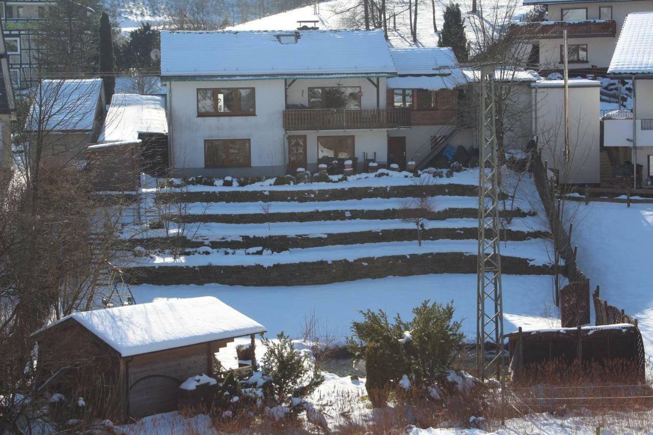 Haus Talblick Villa Schmallenberg Ngoại thất bức ảnh